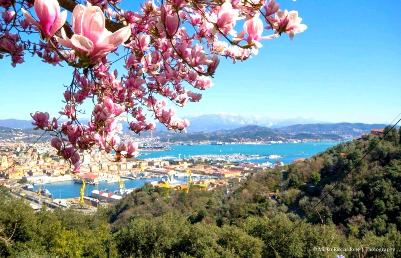 Casa Tartaruga Villa La Spezia Luaran gambar